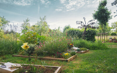 Cimetière naturel de Niort : vert l’infini et l’au-delà