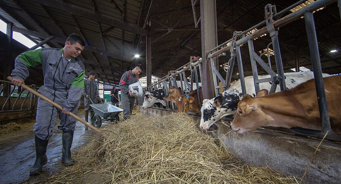 Agro-écologie au lycée