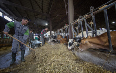 L&rsquo;agroécologie bouscule la pédagogie en lycée agricole