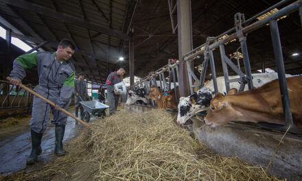 L&rsquo;agroécologie bouscule la pédagogie en lycée agricole