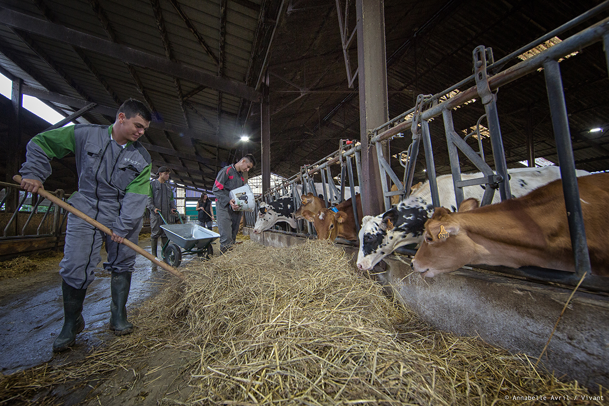 Agro-écologie au lycée