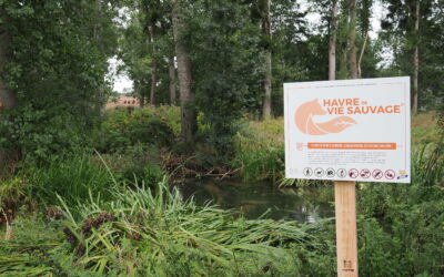 Un premier Havre de la Vie Sauvage