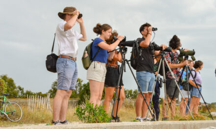 Blairoudeurs : “Notre but est de reconnecter jeunesse et nature en allant sur le terrain”
