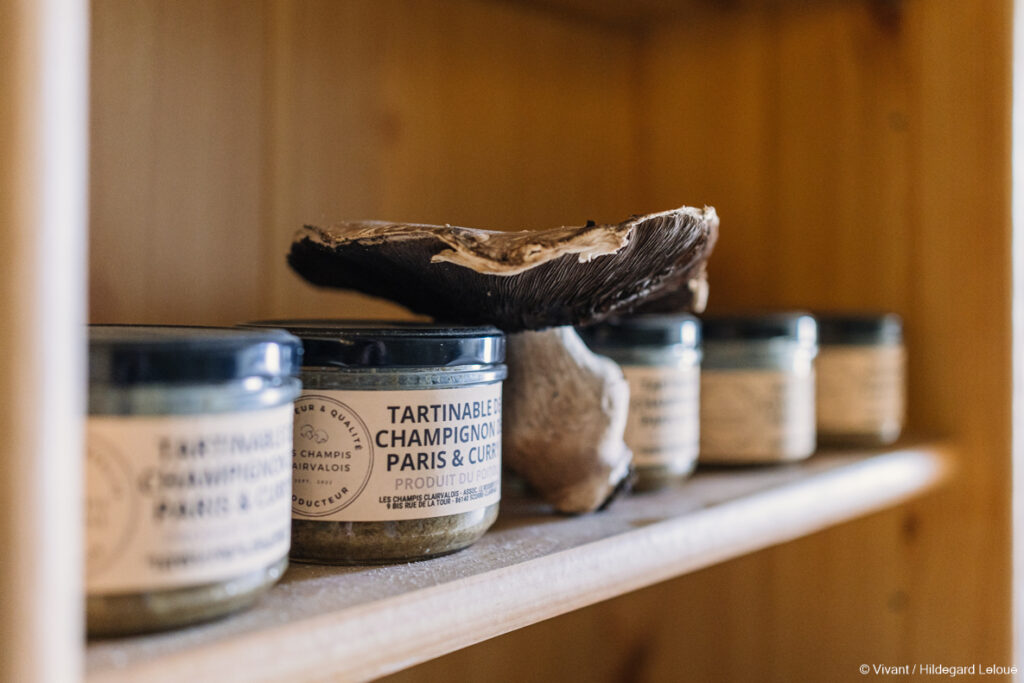 Les Champis Clairvalois-production