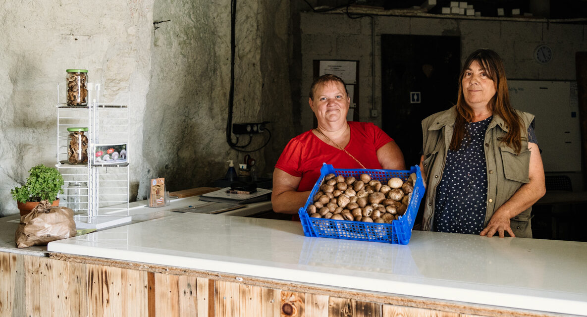 Les Champis Clairvalois EBE Le Ressort