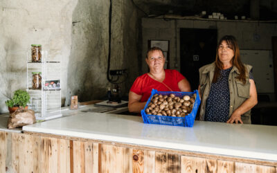 Avec l’EBE Le Ressort, l’insertion appuie sur le champignon