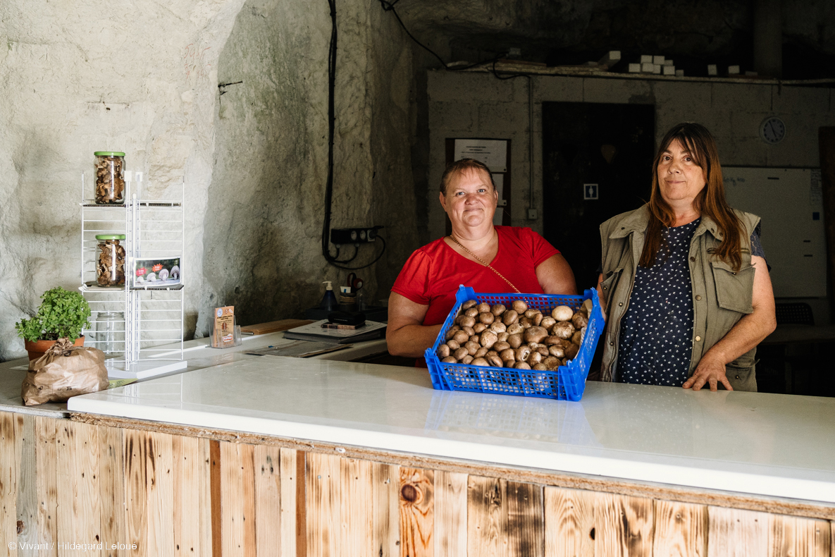 Les Champis Clairvalois EBE Le Ressort