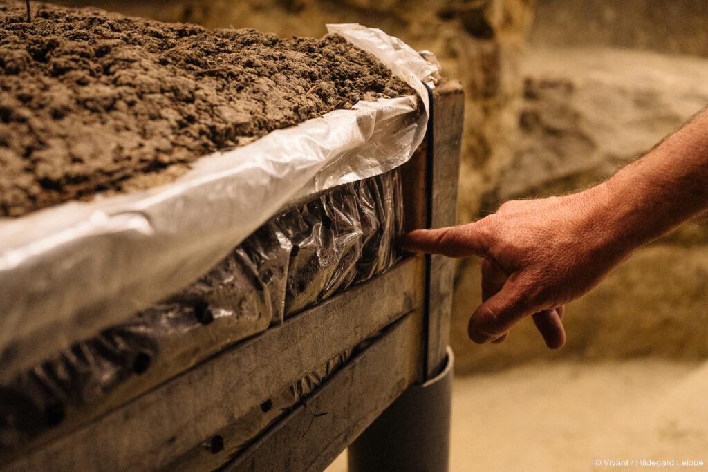 Les Champis Clairvalois