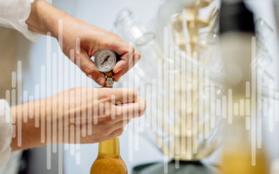 Kombucha Rupella : “On coopère avec une entité vivante”