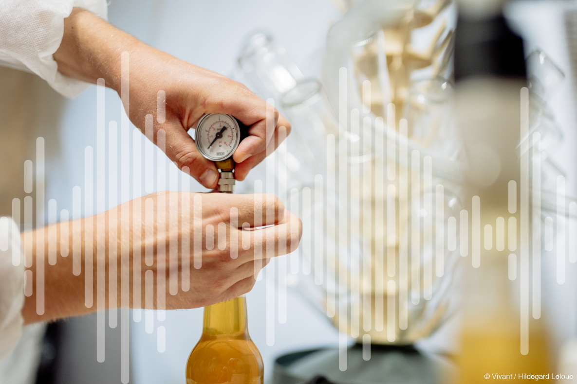 Kombucha Rupella Nicolas Roffé