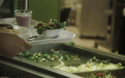 Mangeons Bio Ensemble: la plateforme qui fait le lien entre les producteurs bio et les cantines