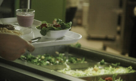 Mangeons Bio Ensemble: la plateforme qui fait le lien entre les producteurs bio et les cantines
