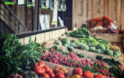 Sécurité sociale de l’alimentation : une solution pour lutter contre la précarité alimentaire