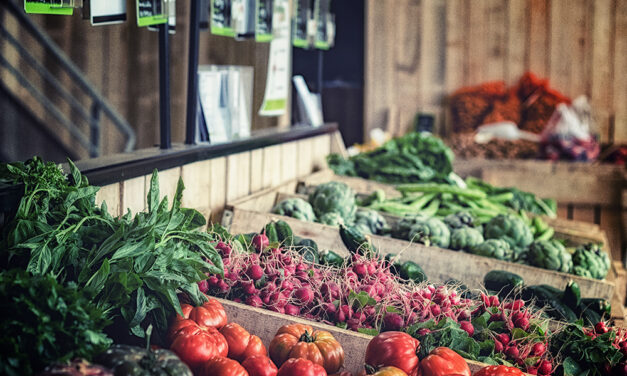 Sécurité sociale de l'alimentation