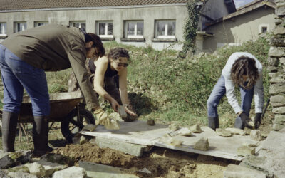 Un abri pour laisser les serpents lézarder