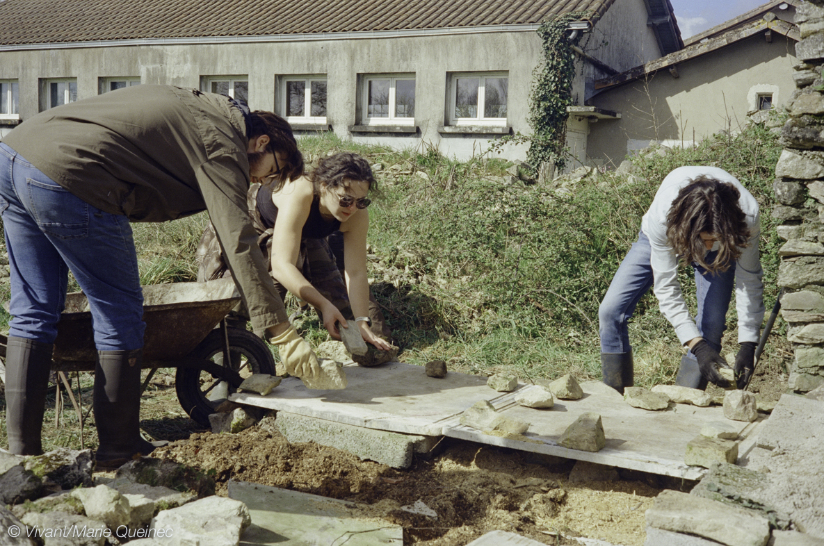 Construction d'un abri pour la protection des serpents