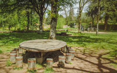 Cerizay valorise son bois en circuit très court