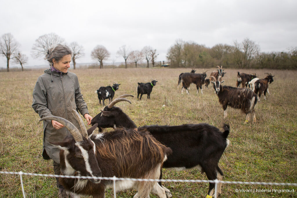 La Ferme d’Yvonne, ferme pédagogique tenue par Arthur Bourdeau et Julien Simiot, fait partie intégrante de l'association Du Coq à l' me. Elle propose de nombreux ateliers, visites et animations autour des animaux.