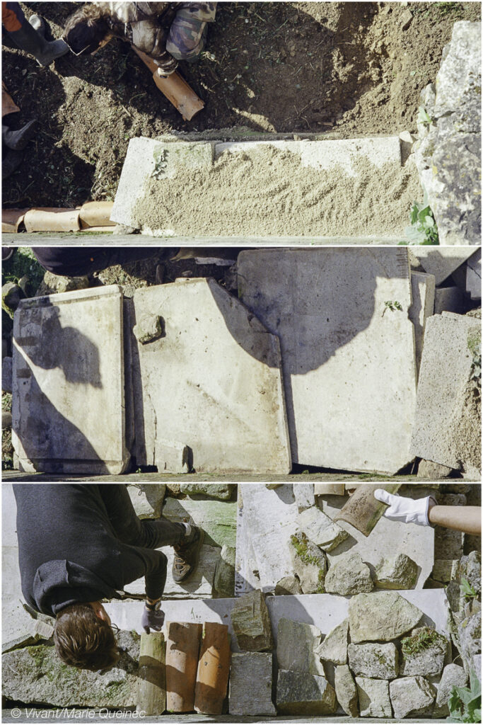 La protection des serpents - les étapes de construction d'un abri