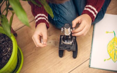 Invisible biodiversité