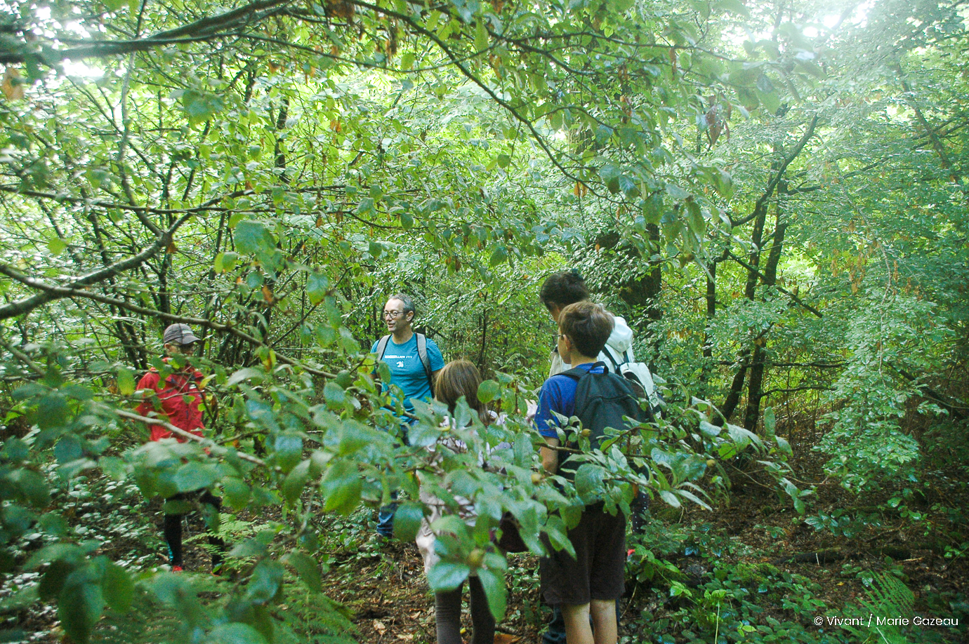 forêt vivante secondigny