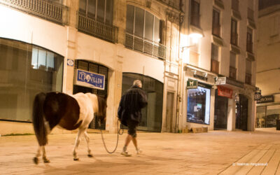 Syoux, ponette médiatrice aux côtés des marginaux