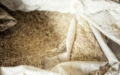 “Régénérons nos territoires” : vos missions, si vous les acceptez