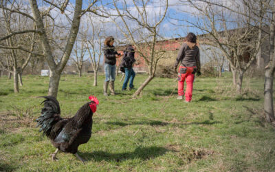 Femmes en agriculture : changer le regard des hommes