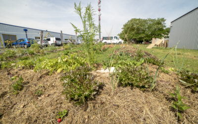 Les 48h de l’agriculture urbaine, 10ème édition