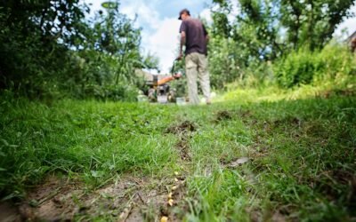 Permaculture, deux semaines de stage certifié