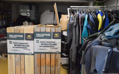 Après les vagues, une nouvelle vie pour les combis