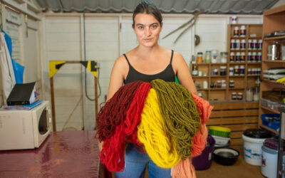 Valoriser la laine et ses métiers : à Vasles on se forme