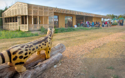 À la Réserve Naturelle des Antonins, une maison à la pointe de l’éco-rénovation