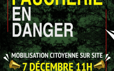 Rassemblement contre l’abattage de 599 arbres au bois de la Faucherie