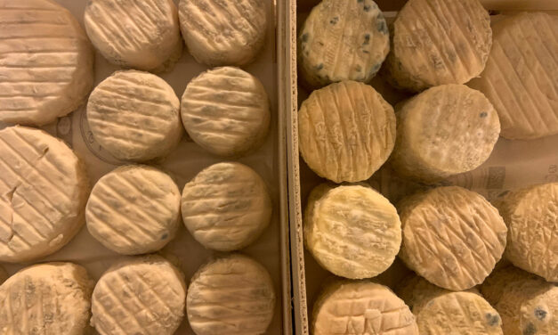 Fromage de chèvre et bien-être animal : Cabri d’Ici ouvre une autre voie