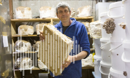 En Charente, de l’isolant thermique sous champi